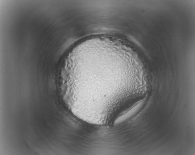 X0000063451259200602031759