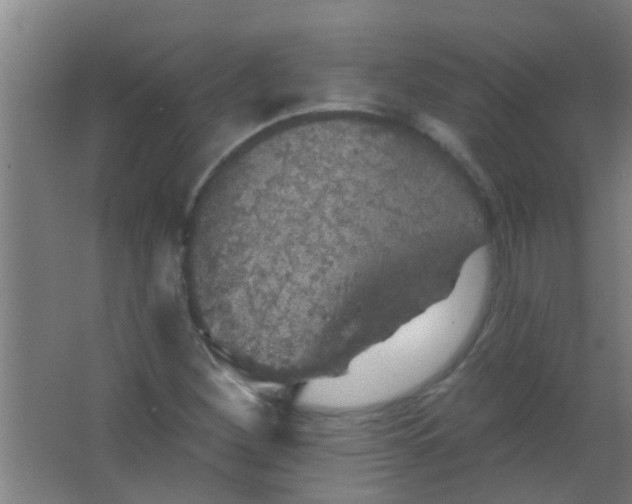 X0000063451260200602031759