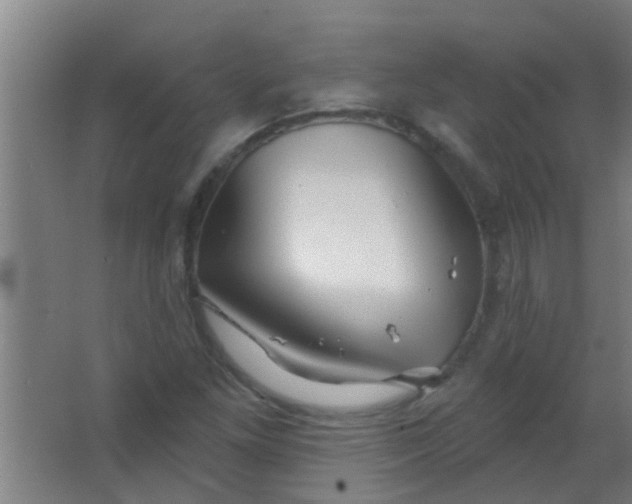 X0000063451261200602031759