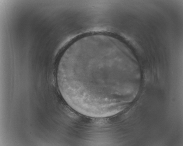 X0000063451262200602031759