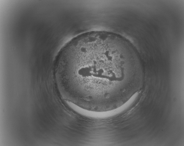 X0000063451263200602031759