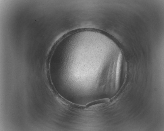 X0000063451264200602031759