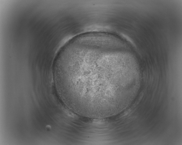 X0000063451267200602031758