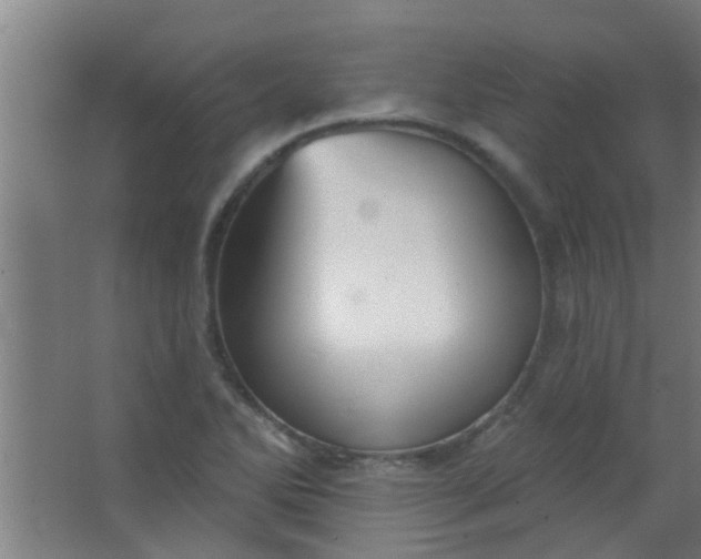 X0000063451270200602031758