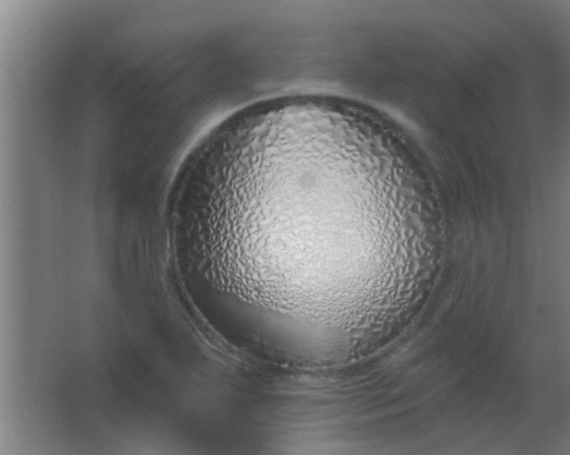 X0000063451271200602031758