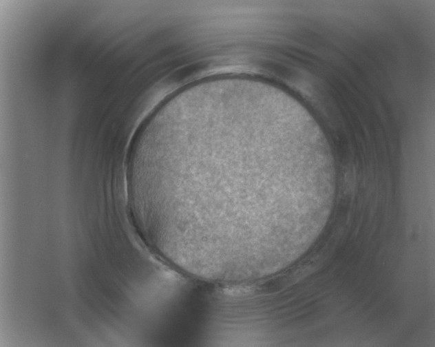 X0000063451274200602031758