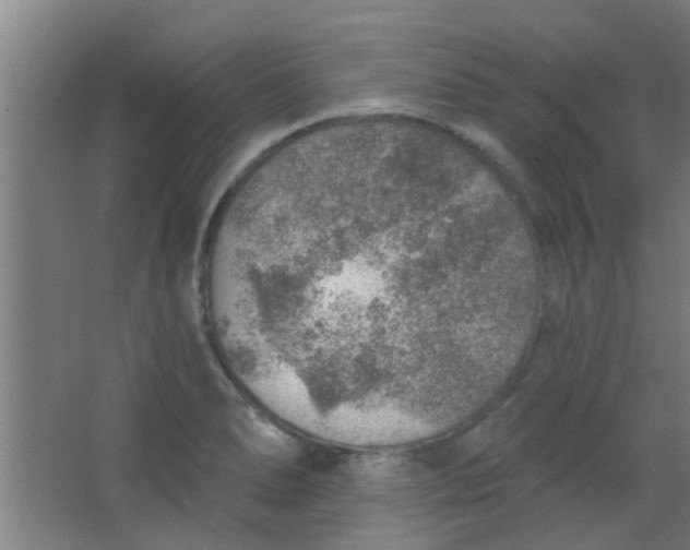 X0000063451278200602031758