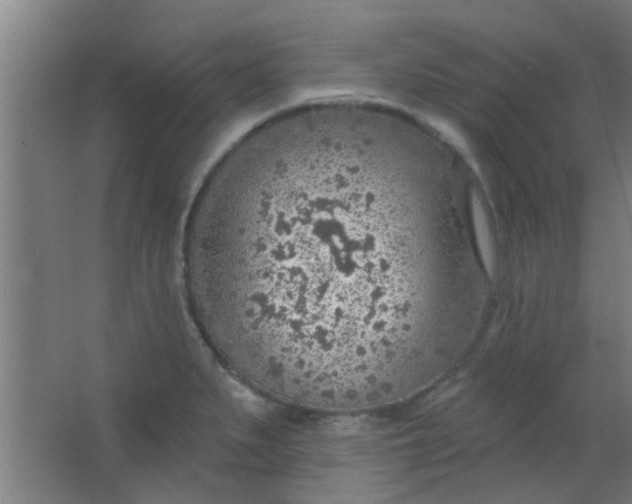 X0000063451279200602031758