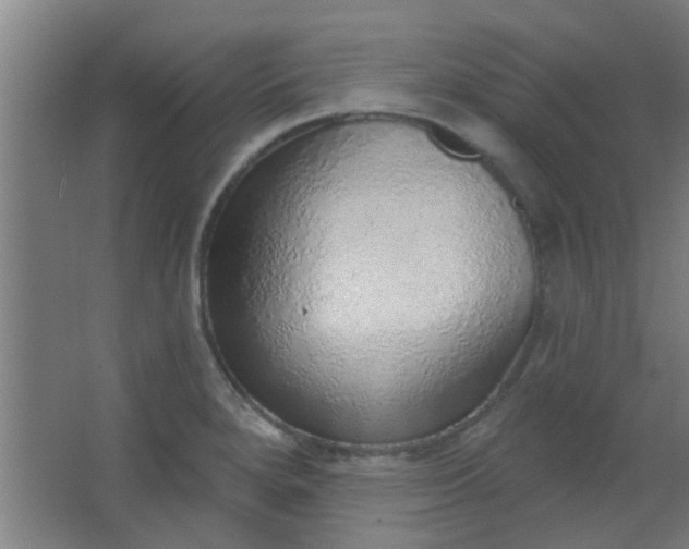 X0000063451280200602031758