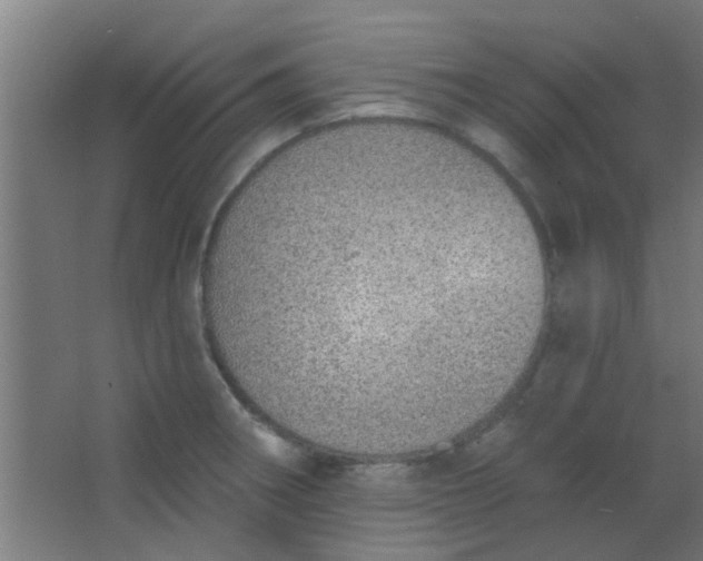 X0000063451282200602031758