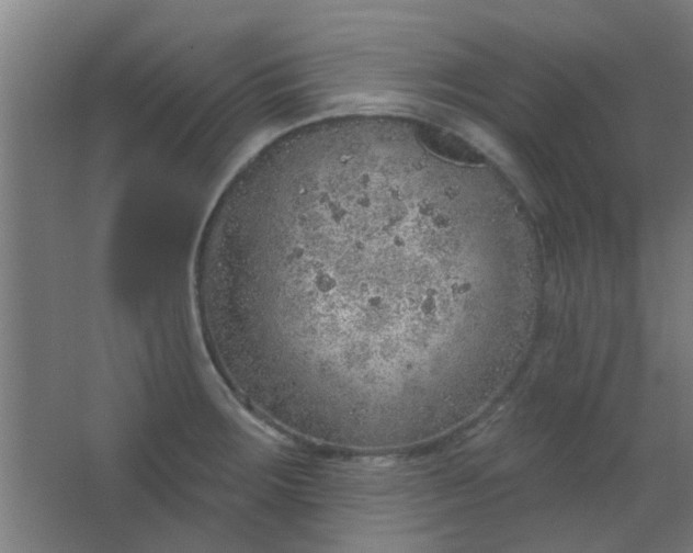 X0000063451283200602031758