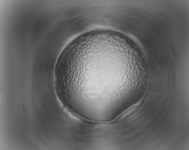 X0000063451287200602031758