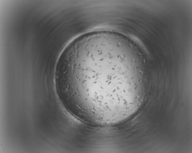 X0000063451288200602031758