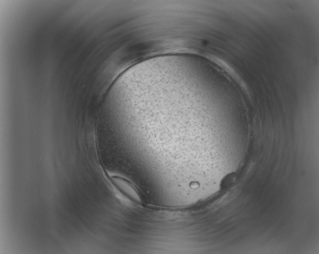 X0000063451289200602031758