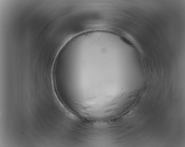 X0000063451291200602031758