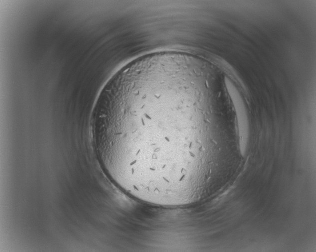 X0000063451292200602031758