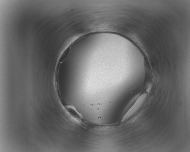 X0000063451293200602031758