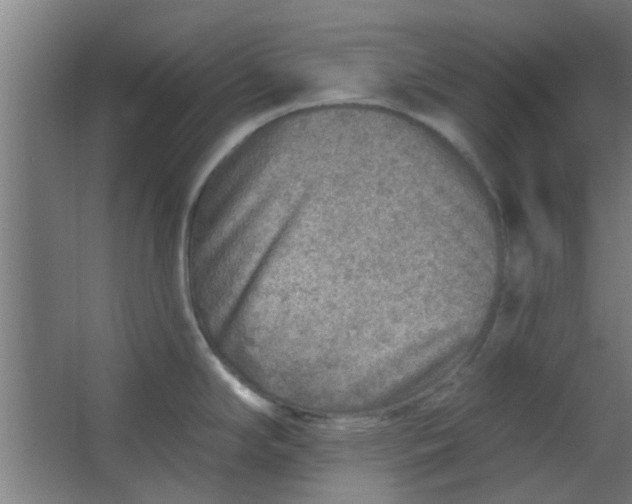 X0000063451294200602031758