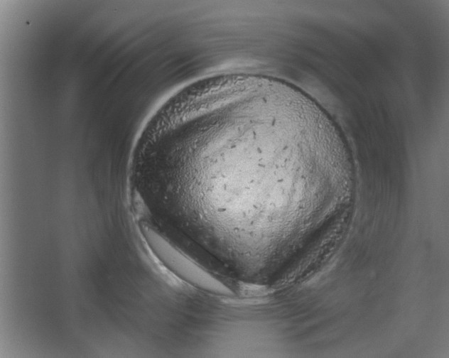 X0000063451296200602031758