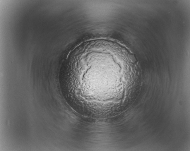 X0000063451297200602031757