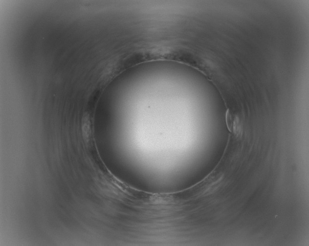 X0000063451299200602031757