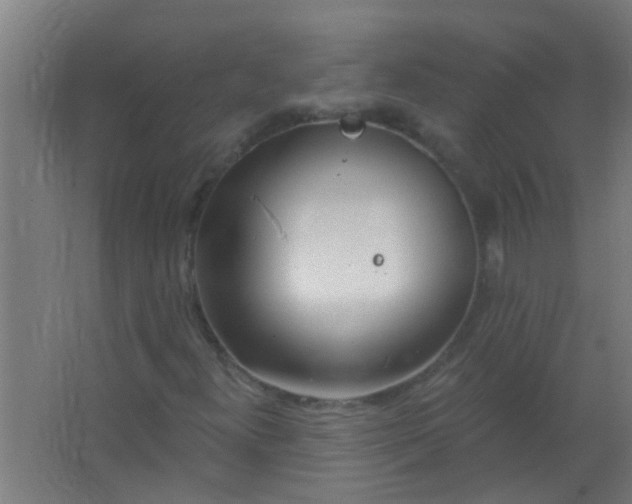 X0000063451300200602031757