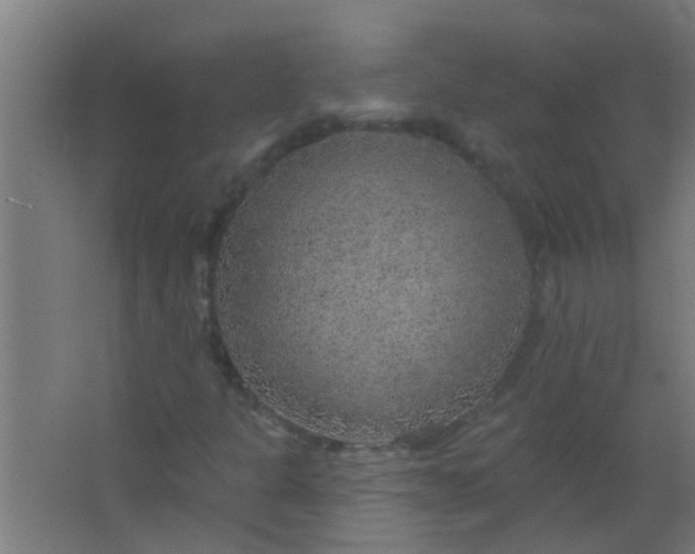 X0000063451301200602031757