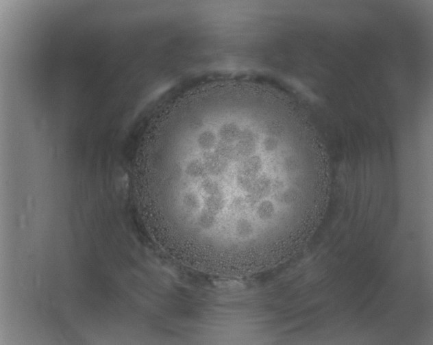 X0000063451302200602031757