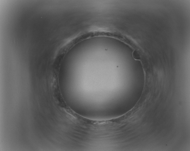 X0000063451303200602031757