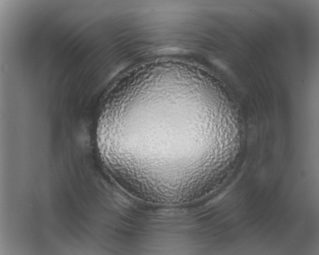 X0000063451305200602031757