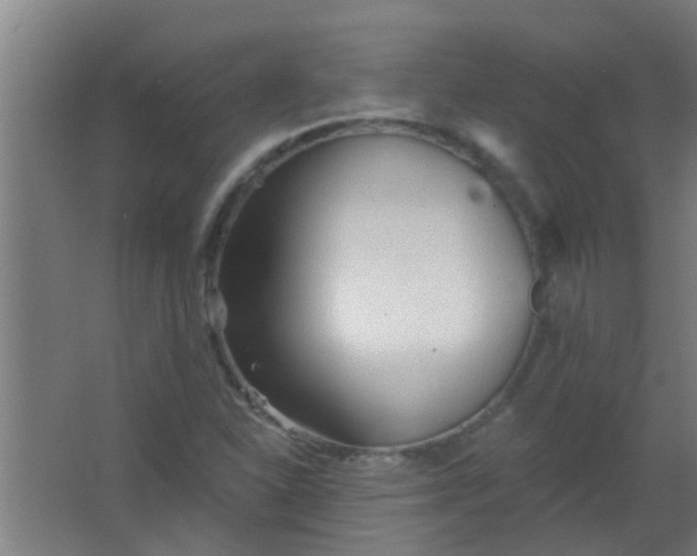 X0000063451310200602031757