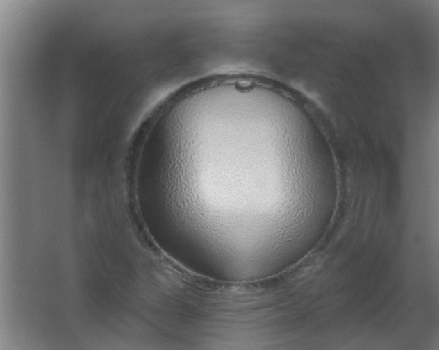 X0000063451311200602031757