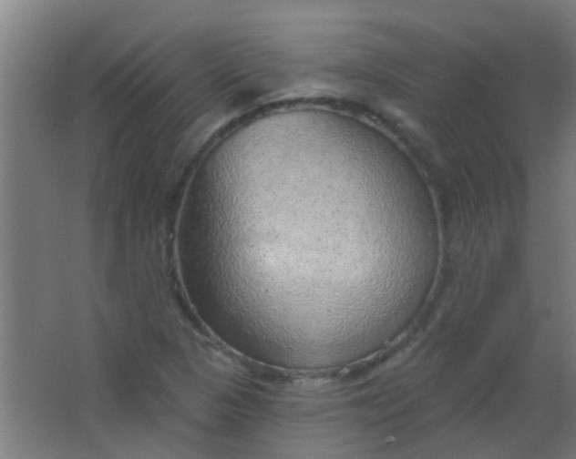 X0000063451313200602031757