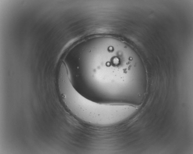 X0000063451314200602031757