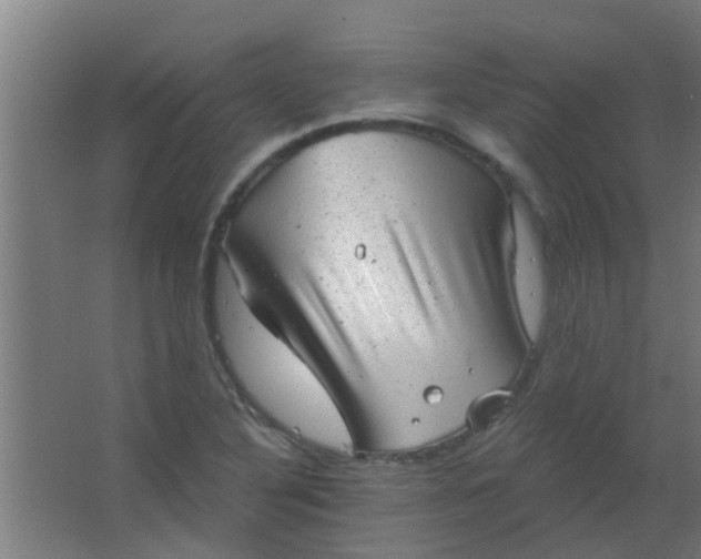 X0000063451316200602031757