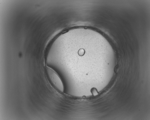 X0000063451317200602031758