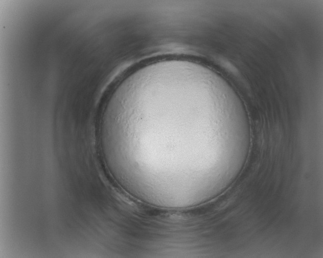 X0000063451318200602031758