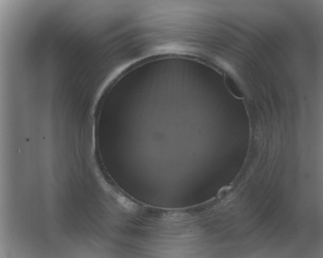 X0000063451323200602031758