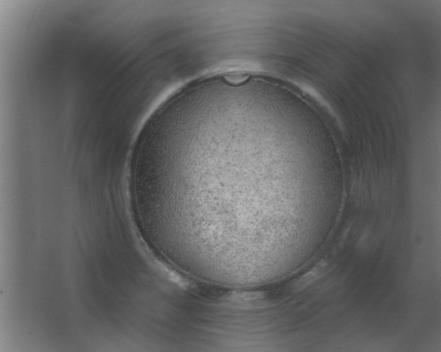 X0000063451325200602031758