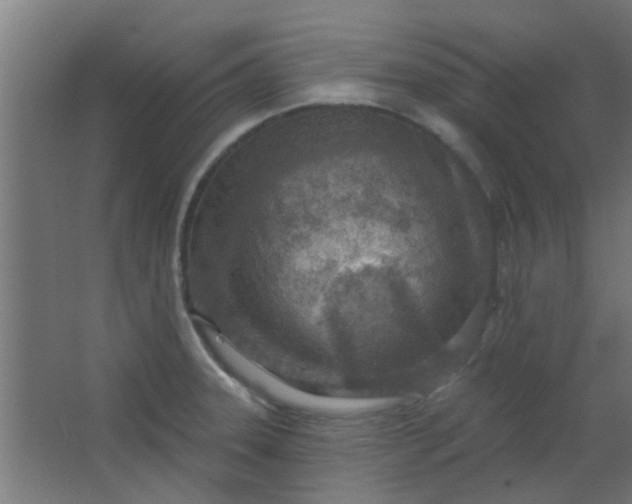 X0000063451331200602031758