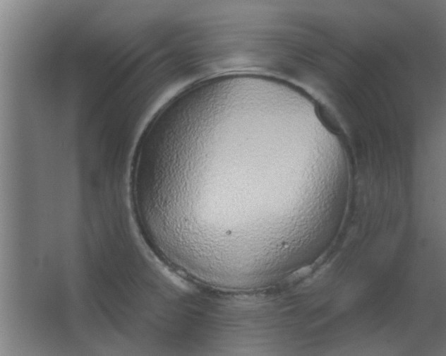 X0000063451333200602031758