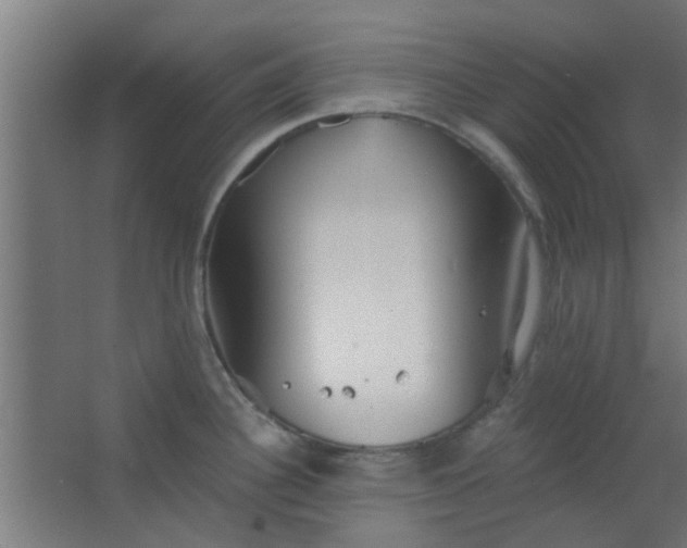 X0000063451340200602031758