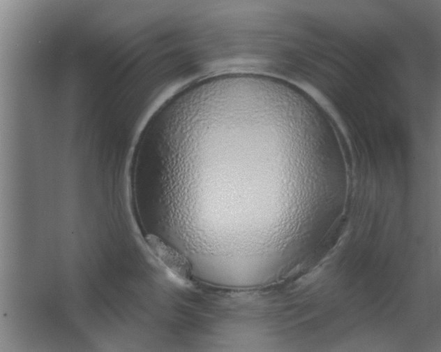 X0000063451341200602031758