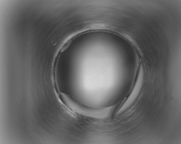 X0000063451342200602031758