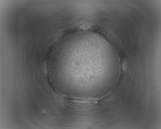 X0000063451347200602031757