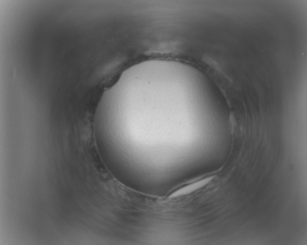 X0000063451350200602031757