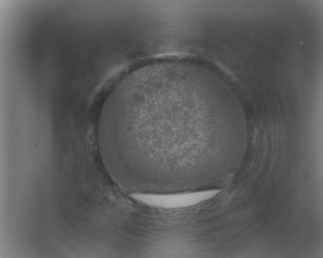 X0000063451351200602031757