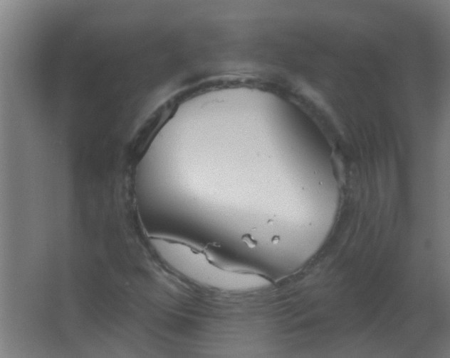 X0000063451352200602031757