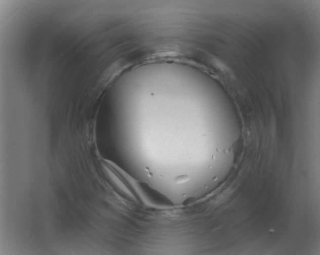 X0000063451353200602031757