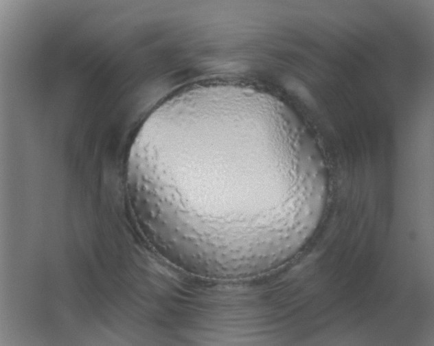 X0000063451354200602031757